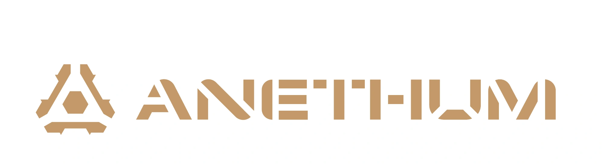 Трафаретна версія логотипа Anethum