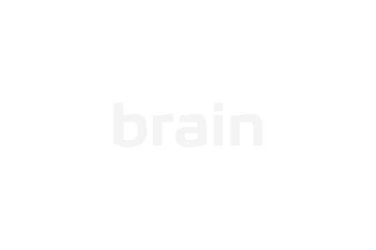 Brain